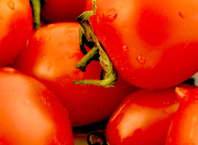 黄瓜食用9禁忌 吃黄瓜不能搭西红柿的图片 第1张