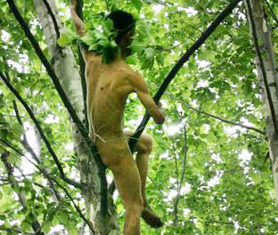 美男子赤身<em>裸体</em>爬树 自称为在树上建房子(<em>图</em>)-