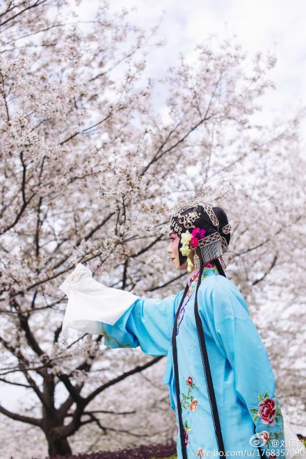 惊艳!武大最美男神扮青衣让宅男心动-武大|最美
