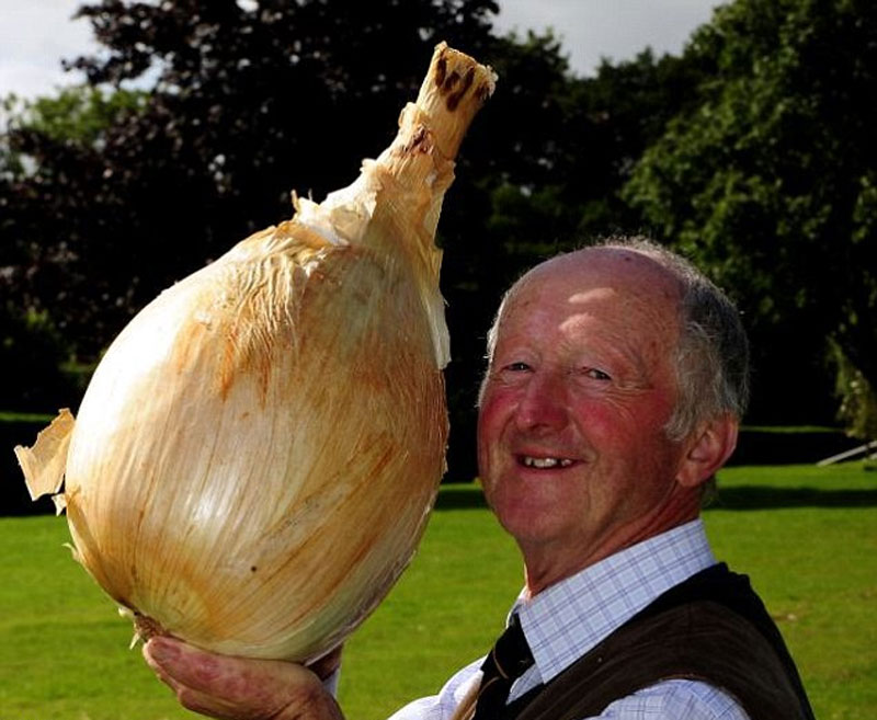 英男子种出27公斤重世界最大菜花 创世界纪录