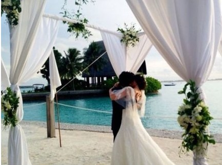 陈晓东王妤娴结婚承认怀孕 盘点奉子成婚的明