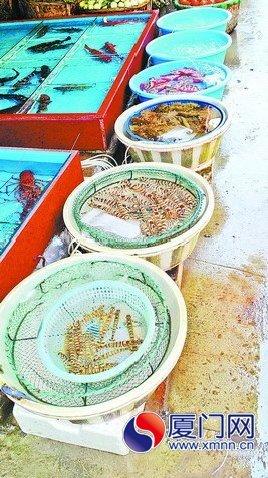 厦门海鲜市场_厦门海鲜图片_海鲜贸易市场(2)