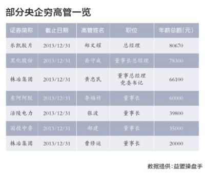 公司收入证明模板_上市公司高管收入(2)