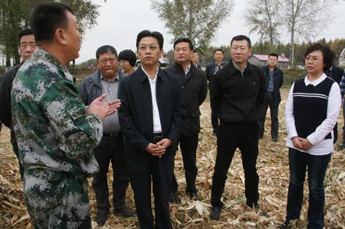 张雨浦在萝北县团结镇一队秋收现场调研.