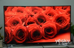 各有所爱 三款特色电视年度盘点