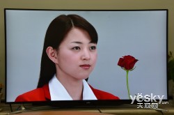 各有所爱 三款特色电视年度盘点