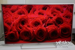 各有所爱 三款特色电视年度盘点