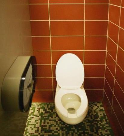 世界级高科技厕所 用小便冲大便