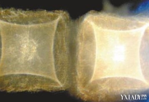 寺庙现神秘银幕灵异鬼魂?人的心理作用能产生