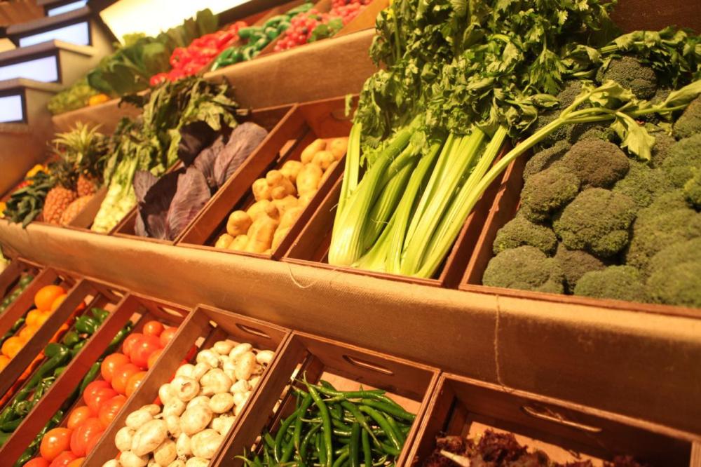 《星厨驾到》第二季四月江苏卫视开播-星厨驾到-东北网娱乐