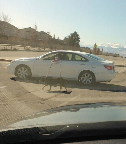 车手扮菜鸟学车玩漂移找乐 无聊的最高境界让