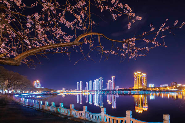 东北网齐齐哈尔4月25日讯 又到了桃红柳绿的季节,劳动湖畔流光溢彩