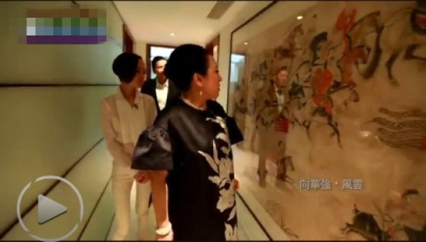 向华强首次受访《鲁豫有约》 五层豪宅曝光-鲁