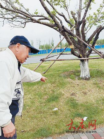 大庆市一80多岁老人树林内自缢身亡(图)-自缢