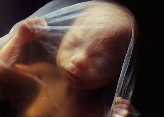 图解人工授精全过程 震撼!看生命如何被创造!