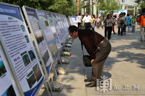 全国林业科技活动周活动在黑龙江举行-林业科技-东北网黑龙江