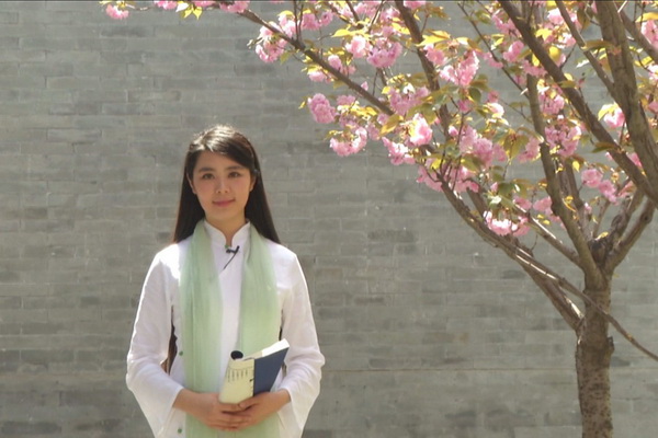 习近平中日友好交流大会:德不孤,必有邻【跟习