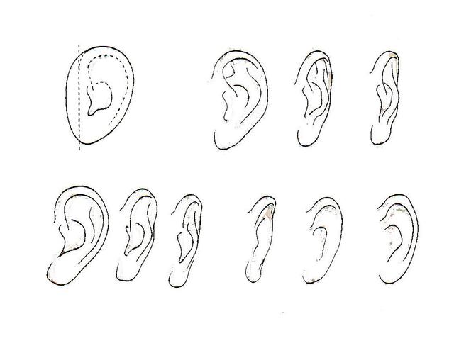 7841489_090662.jpg