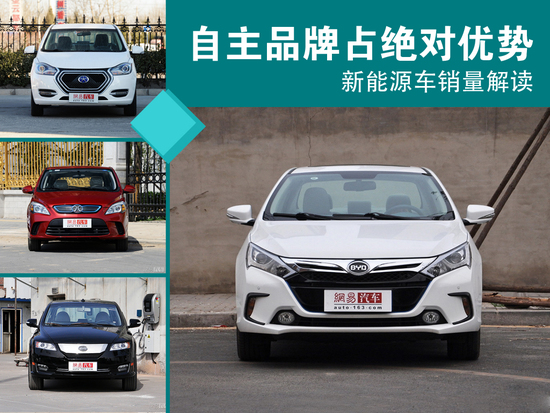 自主品牌占绝对优势 新能源车销量解读-品牌,绝