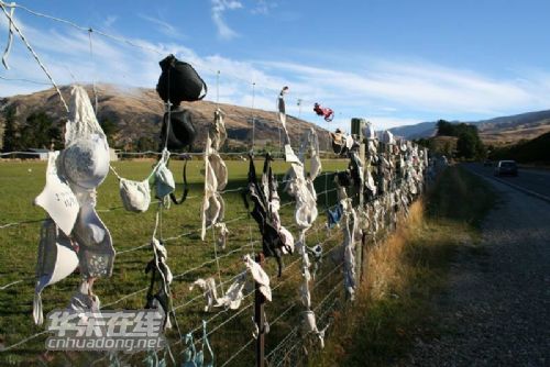 <em>胸罩</em>栅栏遭脱光 数百个<em>胸罩</em>被<em>清除</em>-<em>胸罩</em>栅栏-东