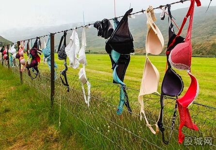 不忍直视的另类旅游景点 新西兰<em>胸罩</em>栅栏<em>胸罩</em>