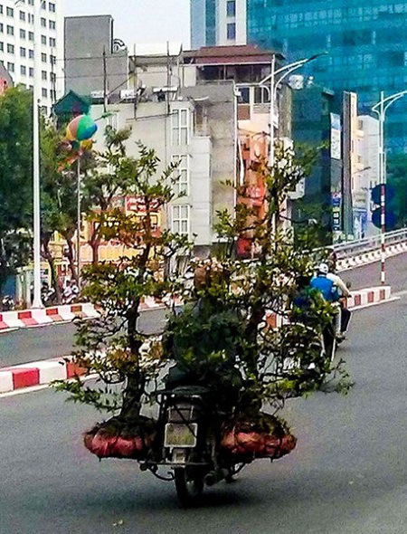 一大波高手来袭 摩托车是万能的(图)-高手|摩托