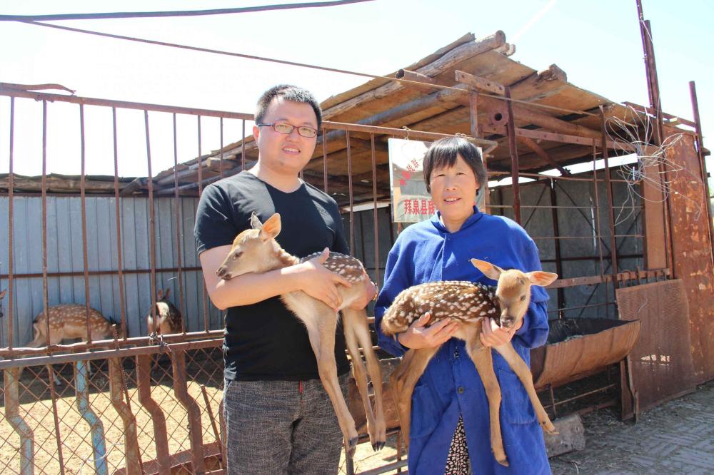 小提子种出大价钱 鹿精灵致富众村民