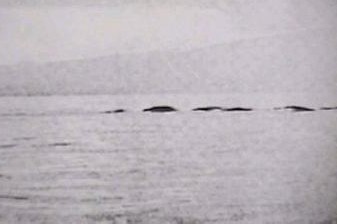 世界上著名的水怪 8105810_129921.jpg