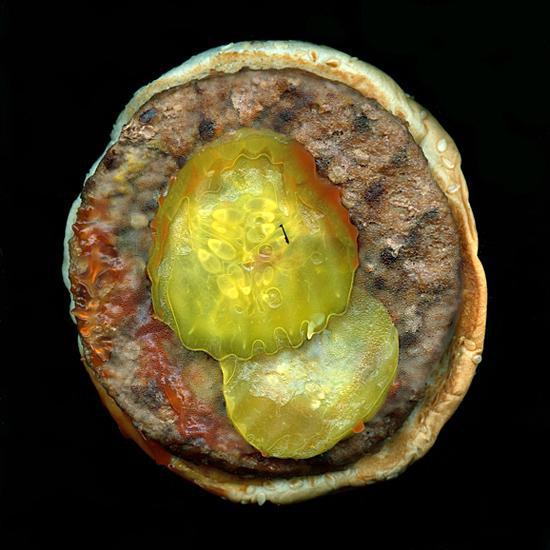 摄影师用镜头拆解洋快餐:吃一个汉堡你会长多