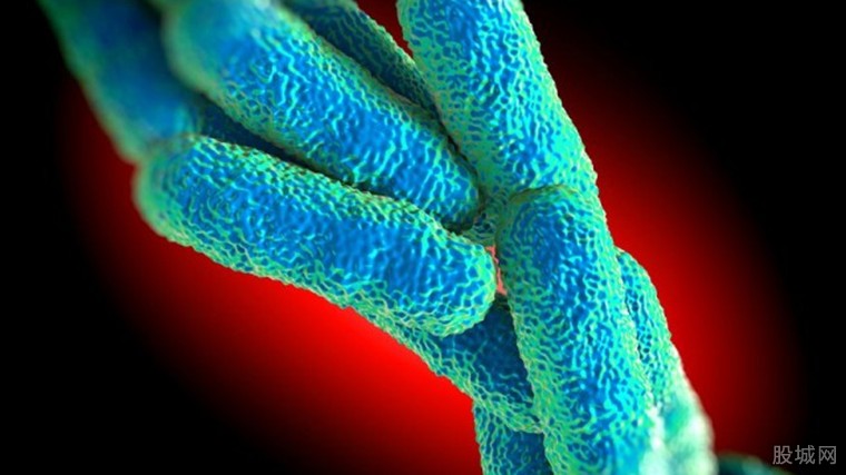 纽约爆发军团菌病 由空气传播临床表现类似肺