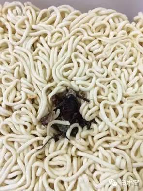 小伙子从日本方便面吃出一只蟑螂后 岛国人民