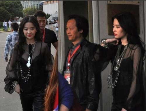 刘亦菲承认恋情疑不雅照流出 与干爹陈金飞神