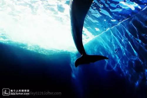 你是哪种深海恐惧症?进来你就知道-深海恐惧症