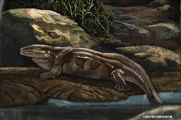 恐龙的进化历程 白垩纪恐龙黄金时代-恐龙|进化