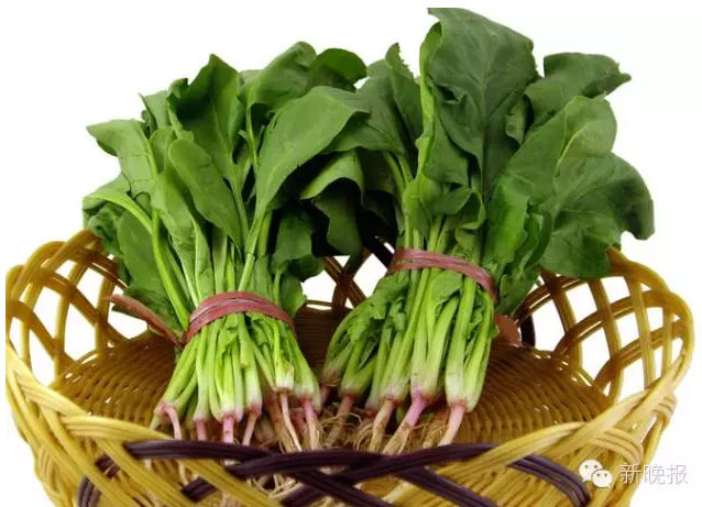 哈尔滨人真送不起秋菠了!天天下雨秋菠8元