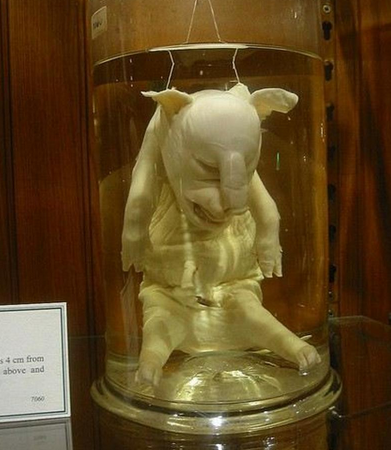 8302681_174619.jpg