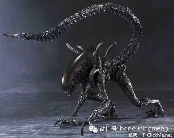 最让人害怕的电影怪物排行，大白鲨也算是怪物喔?-怪物-东北网国际