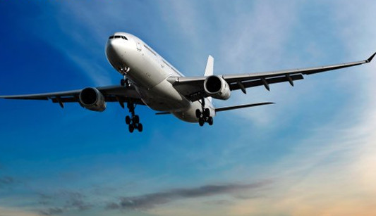 情侣机舱空震跑进厕所玩 机长打开广播系统实