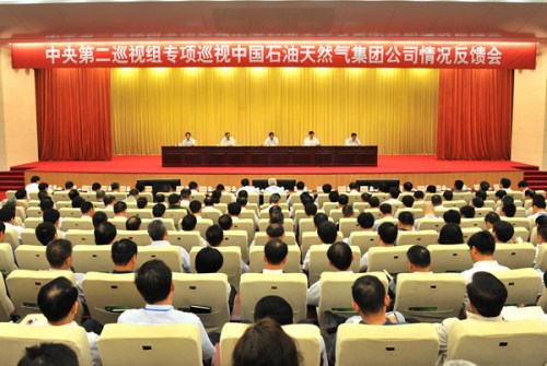 25家央企晒出巡视整改清单 都有啥狠招?-巡视