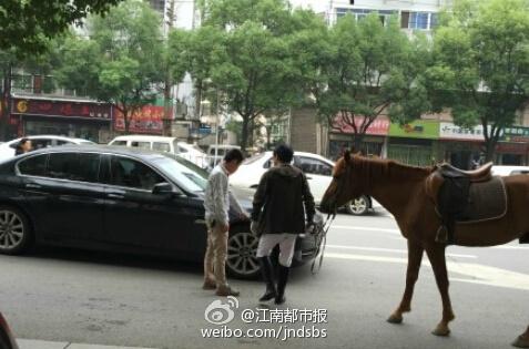 南昌街头<em>真马踢坏宝马</em> 司机市区鸣喇叭负全责