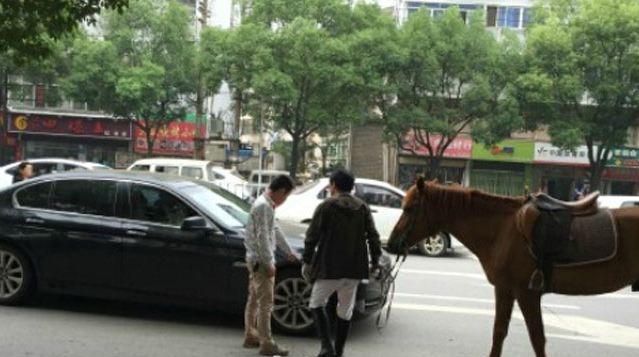 南昌街头<em>真马</em>受惊<em>踢坏宝马</em>车 交警认定司机担