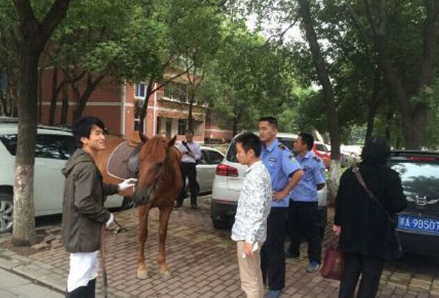 南昌街头<em>真马</em>受惊<em>踢坏宝马</em>车 交警认定司机担