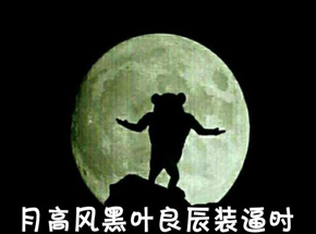 我叫<em>叶良辰</em>走红,魔性从何而来?-<em>叶良辰</em>-东北