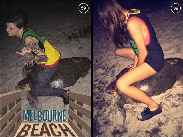  骑海龟5年监禁  任性的代价还不小- 骑海龟5年监 