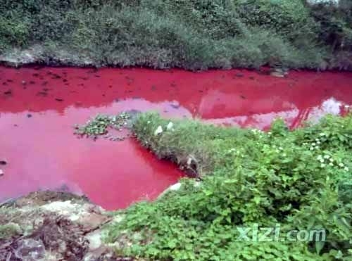 广东惠州现血河 杭州现阴阳河 网友:环保局长来