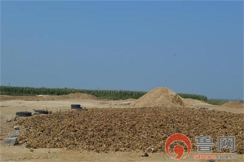 <em>山东现晒骨场</em> 白骨堆成山恶臭熏天令人恶心-山