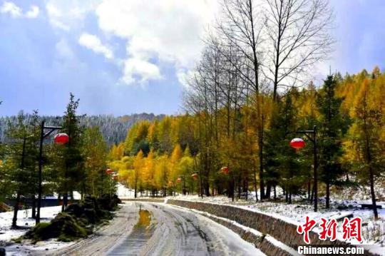 图为中国雪乡十一期间雪后景色 景区提供 摄