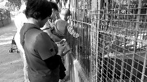 媒体曝不文明行为:家长自带零食供孩子投喂动