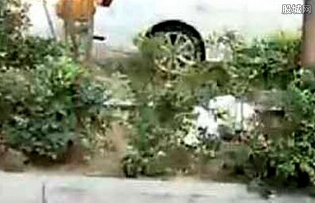  女子当街产婴  太没人性生完丢弃绿化带致婴儿