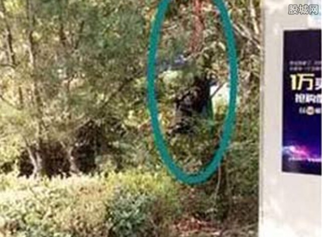  老人跪着上吊身亡  儿子被围观者砸鸡蛋 - 追寻